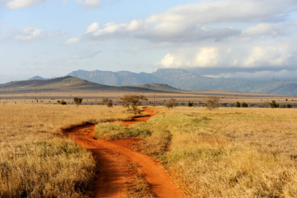 Safe Countries to Travel to in Africa