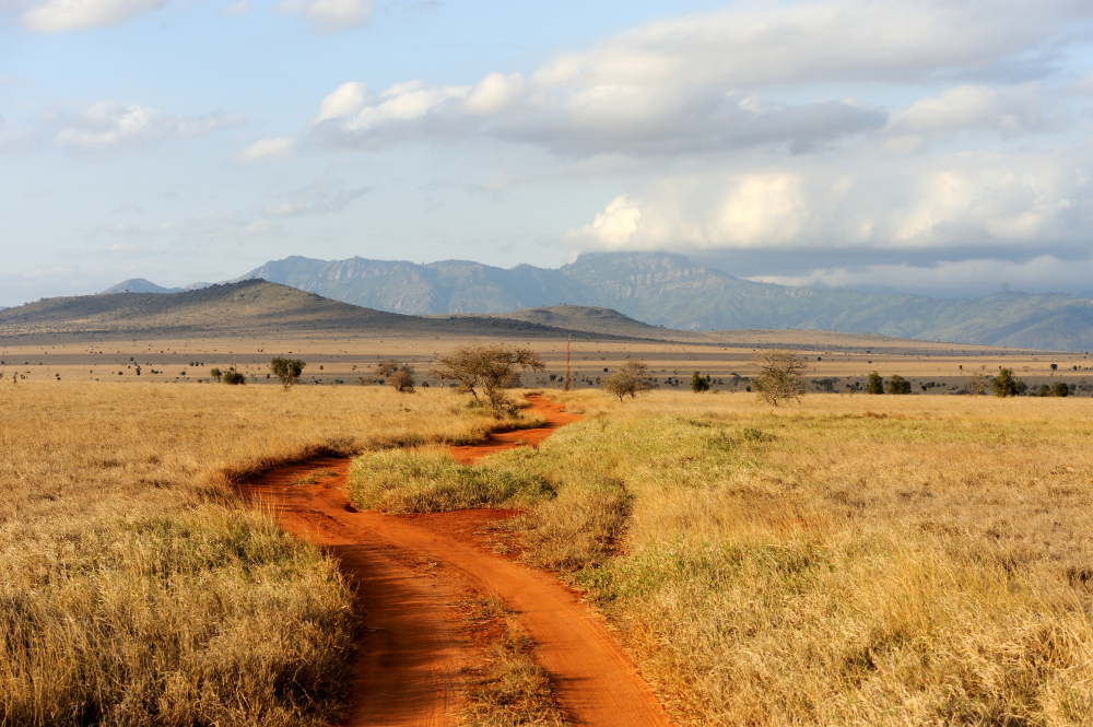 Safe Countries to Travel to in Africa